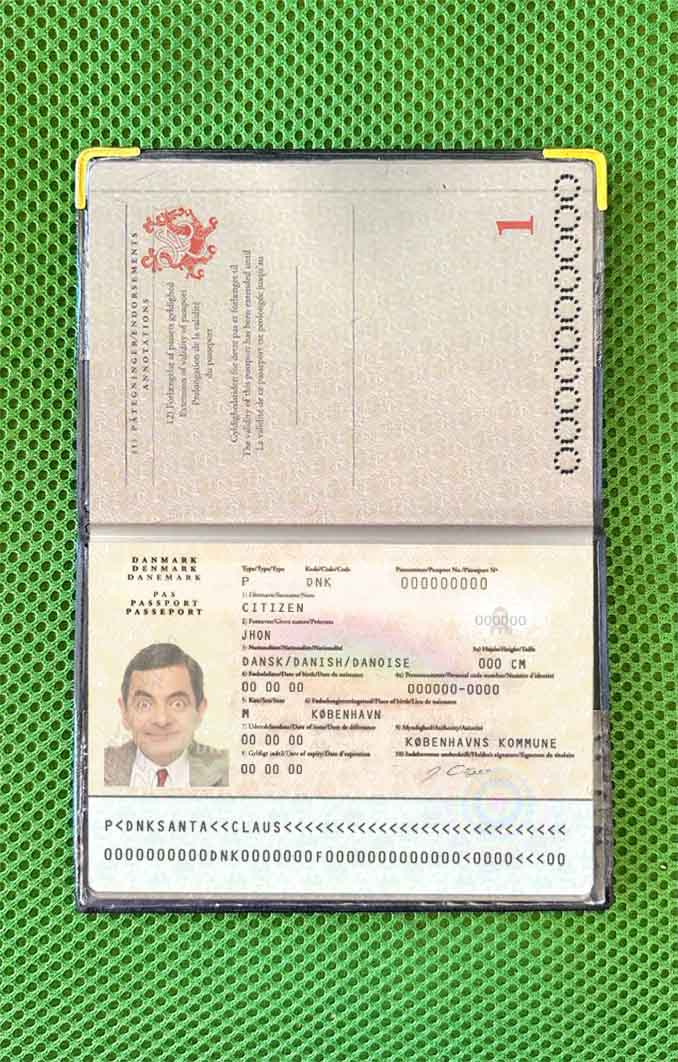 Denmark passport photo look PSD template